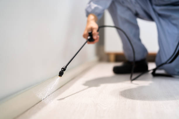Licensed Pest Control service in Belpre, OH - Show Me Pest Control